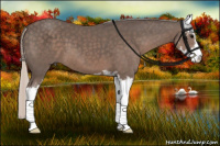 Horse Color:Silver Black Sabino 