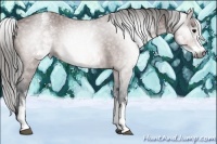 Horse Color:Gray White Spotted Bay Varnish 