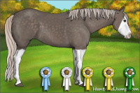 Horse Color:Silver Black Splash 
