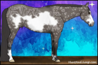 Horse Color:Smoky Grullo Ice Frame