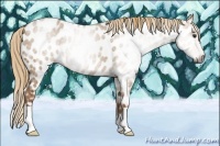 Horse Color:Gray Red Dun Ice Near Leopard 