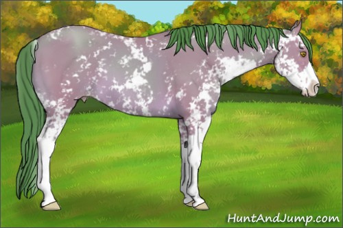 Horse Color: Watercolor Sable Champagne Sabino 