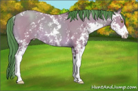 Horse Color:Watercolor Sable Champagne Sabino