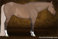 Horse Color:Silver Brown Dun 