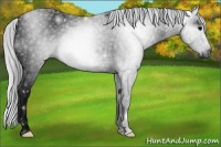Horse Color:ERROR: UNKNOWN ANOMALY