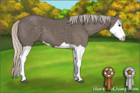 Horse Color:Silver Black Splash