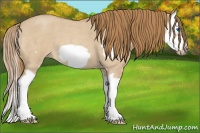 Horse Color:Red Dun Roan Splash Frame 