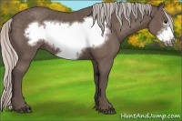 Horse Color:Silver Black Frame 