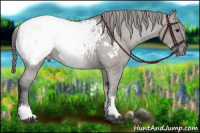 Horse Color:White Spotted Grullo Snowcap 