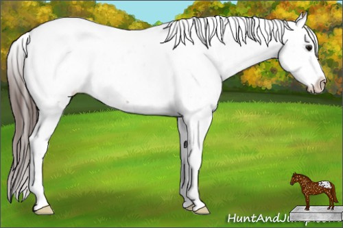 Horse Color: Bay Snowcap 