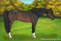 Horse Color:Brown 