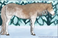 Horse Color:White Spotted Silver Bay Ice 
