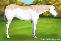 Horse Color:Bay Roan Dun Splash Frame Rabicano 