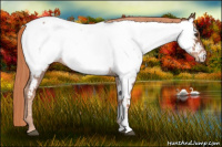 Horse Color:Liver Red Roan Near Fewspot 