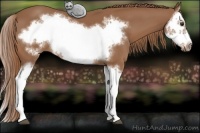 Horse Color:Chestnut Splash Frame 