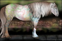 Horse Color:Gray Chestnut 