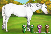 Horse Color:Gray Silver Amber Cream Champagne Roan Dun Splash Tobiano Frame Appaloosa Rabicano