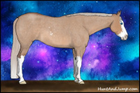 Horse Color:Silver Brown Roan Dun Sabino Splash 