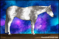 Horse Color:White Spotted Black Sabino