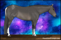 Horse Color:White Spotted Black Sabino