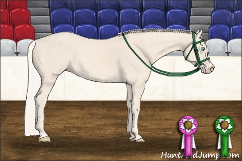Horse Color: Cremello 