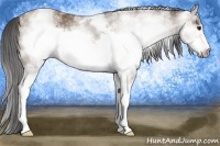 Horse Color:Gray White Spotted Classic Champagne Frame 