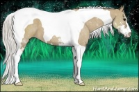Horse Color:Silver Smoky Grullo Sabino Tobiano 
