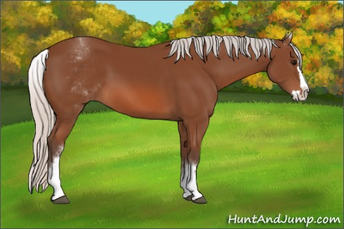 Horse Color: White Spotted Silver Bay Splash 