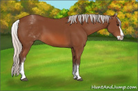Horse Color:White Spotted Silver Bay Splash 