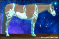 Horse Color:Thunderstruck Classic Champagne Frame 