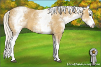 Horse Color:White Spotted Silver Buckskin Splash 