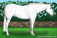 Horse Color:White Spotted Silver Bay Splash 
