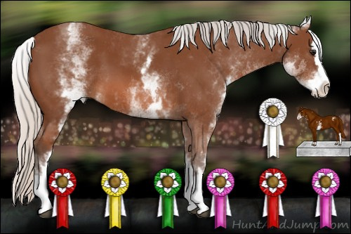 Horse Color: White Spotted Silver Bay Splash 