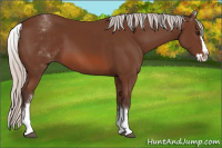 Horse Color:White Spotted Silver Bay Splash 