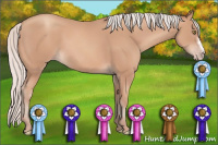 Horse Color:Silver Amber Champagne Frame 
