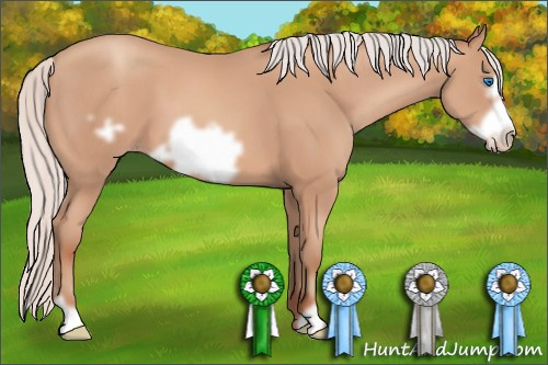 Horse Color: Silver Amber Champagne Frame 