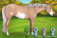 Horse Color:Silver Amber Champagne Frame