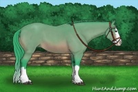 Horse Color:Watercolor Bay Roan Splash 