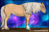 Horse Color:Chocolate Palomino Roan 