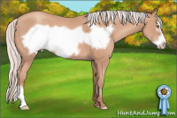 Horse Color:Silver Amber Champagne Frame 