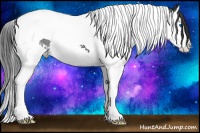 Horse Color:Black Splash Tobiano 