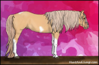 Horse Color:Chocolate Palomino Dun Tobiano Frame