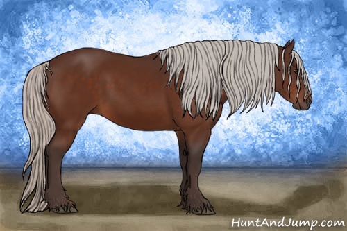 Horse Color: Silver Bay Sabino Rabicano 