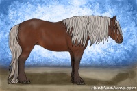 Horse Color:Silver Bay Sabino Rabicano 