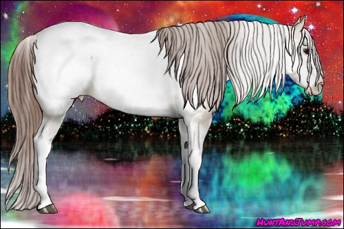 Horse Color: White Spotted Bay Dun Near Fewspot 