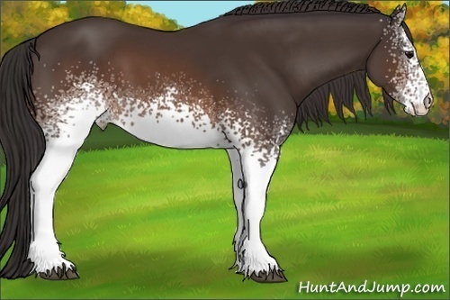 Horse Color: White Spotted Buckskin 