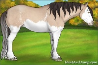 Horse Color:White Spotted Amber Champagne Dun Splash 