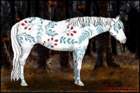 Horse Color:Gray Silver Amber Champagne Roan Dun Splash Tobiano Frame Appaloosa Rabicano 