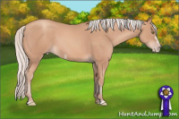 Horse Color:Silver Amber Champagne Frame 