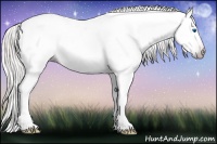 Horse Color:Gray Silver Amber Cream Champagne Roan Dun Splash Tobiano Frame Blanket Rabicano 